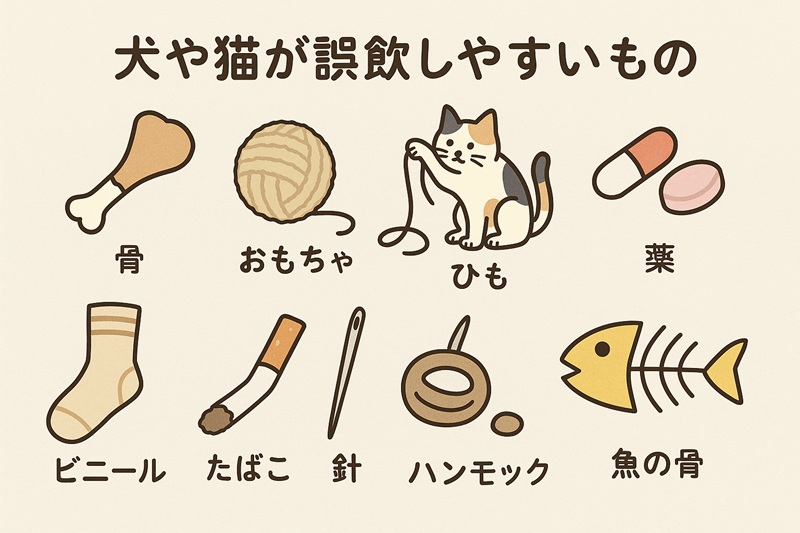 犬や猫が誤飲しやすいもの