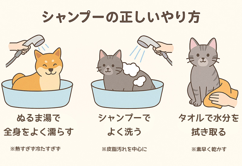 犬や猫のシャンプーの正しいやり方