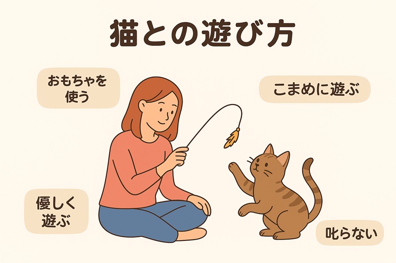 猫との遊び方