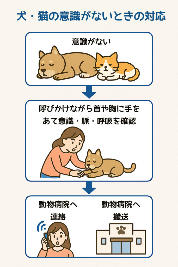 犬・猫の意識がないときの対応フローチャート