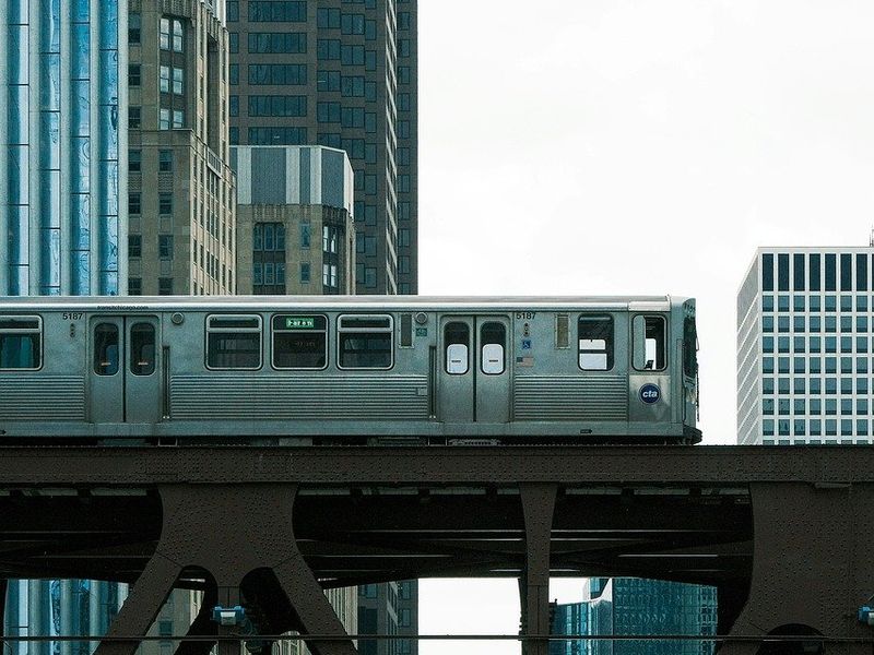 猫と電車移動