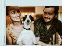 犬の放し飼い
