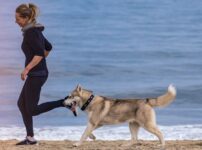 運動量が少ない犬種