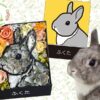 マイペリドット