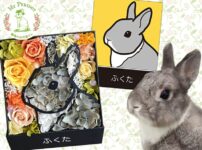 マイペリドット