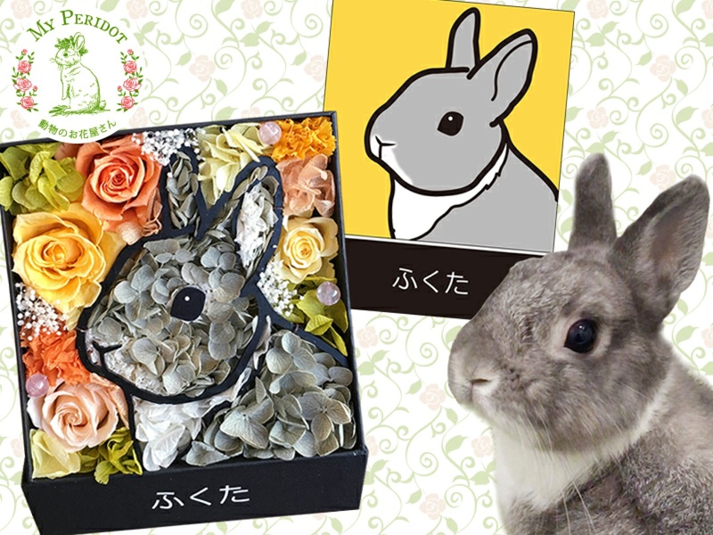 マイペリドット