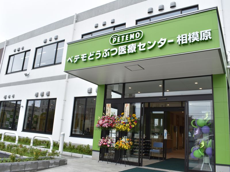 ペテモどうぶつ医療センター相模原