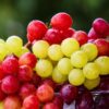 ぶどう