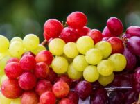 ぶどう