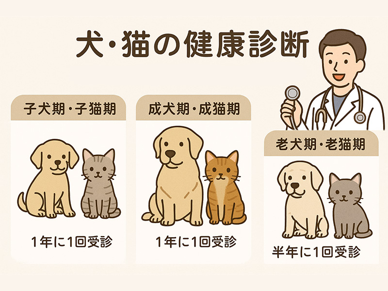 犬・猫の健康診断頻度