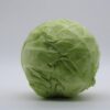 キャベツ