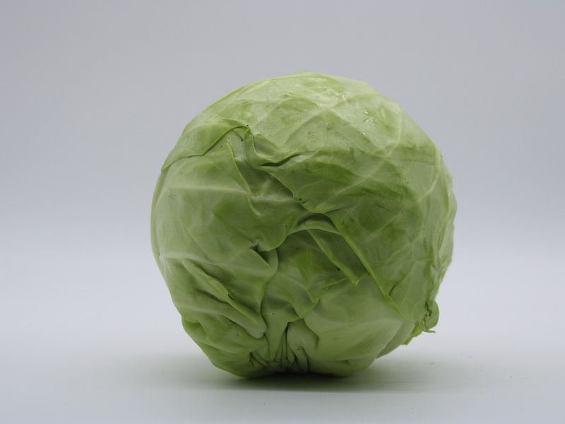 キャベツ