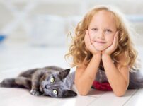 猫が慣れた証拠