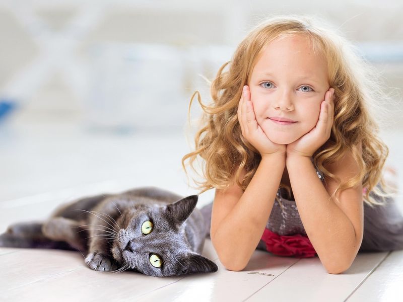 猫が慣れた証拠