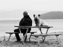 スカイ・テリア