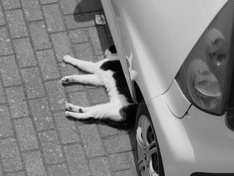車