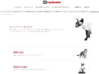 ロイヤルカナンキャットフード