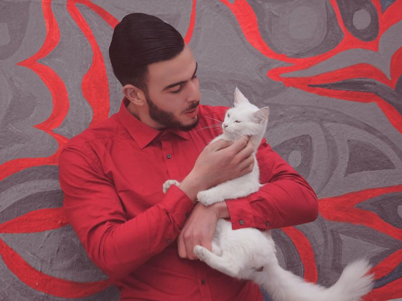 猫を飼うのに向いている人