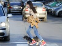 犬のリーダーウォーク