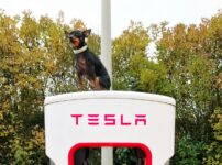 プラシュスキー・クリサジーク