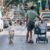 犬の社会化