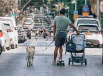 犬の社会化