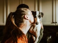 犬の皮膚のベタつき