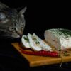 猫とチーズの関係性