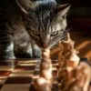 猫の知能