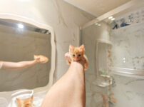 子猫のシャンプー