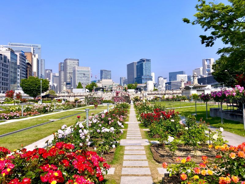 大阪のドッグラン