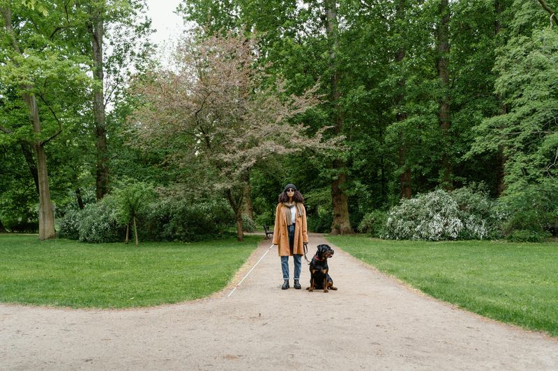 盲導犬
