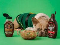 犬が食べてはいけない危険な食べ物ランキング