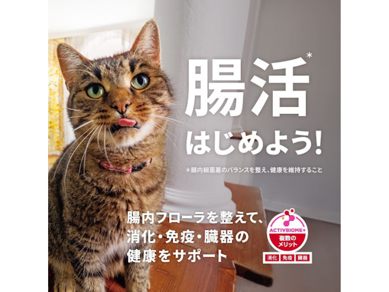 リニューアルで進化した腸活*設計