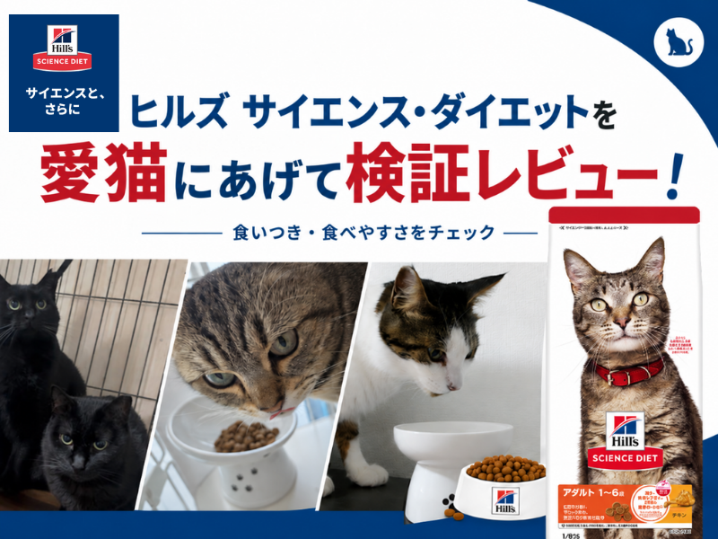 ヒルズ サイエンス・ダイエットを愛猫にあげて検証レビュー