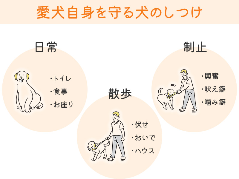 犬のしつけ