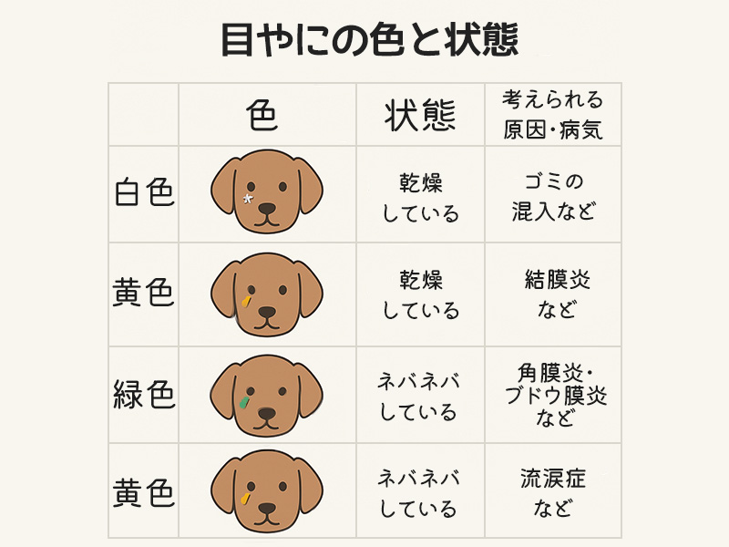 目やにの色と状態