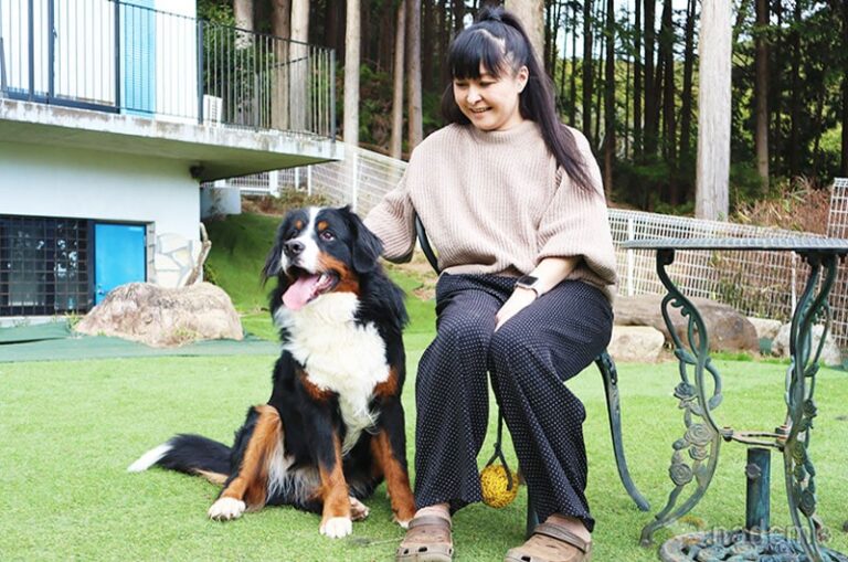 一般社団法人愛玩動物健康管理協会は動物を愛する人による、動物と飼い主の生活向上を目指すグループ