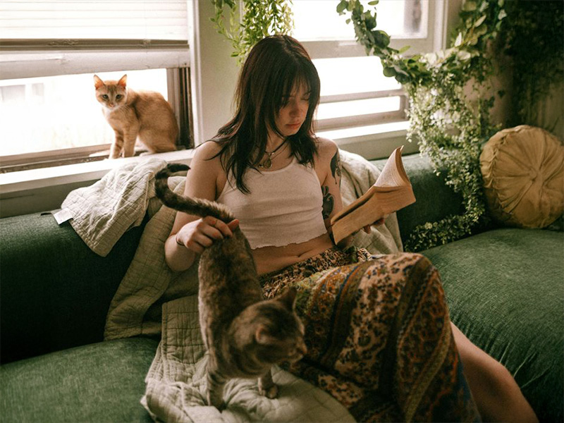 猫