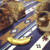 猫はバナナを食べても大丈夫！適切な与え方や量、注意点を解説