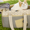 猫用キャリーバッグのおすすめ！負担の少ないバッグの選び方