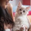 猫の性格
