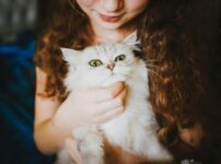 一人暮らしにおすすめの猫