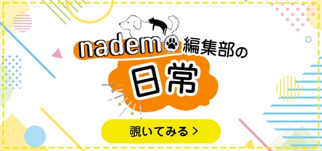 nademo編集部の日常
