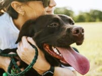 保護犬の譲渡会とは？メリット・デメリットや費用、注意点について解説