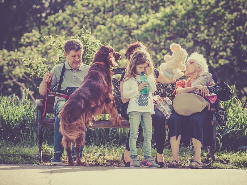 犬の性格