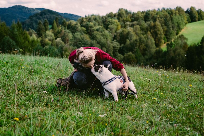 犬の病気の一覧