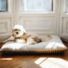 犬の室内飼いレイアウト