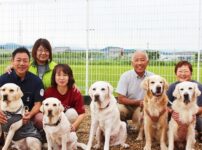 日本サービスドッグ協会がサポートする、任務を全うした補助犬たちの穏やかな余生