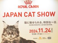 多くの猫好きと素敵な猫たちが集まった第4回ジャパンキャットショー